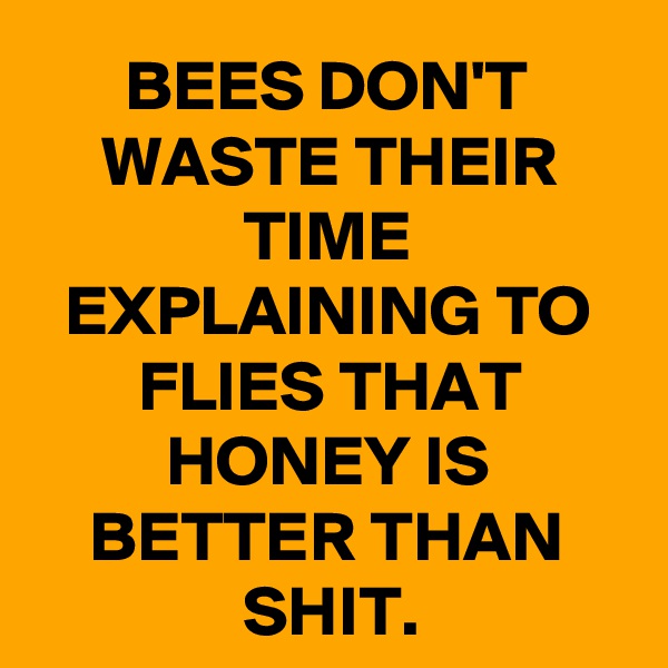 BEES DON'T WASTE THEIR TIME EXPLAINING TO FLIES THAT HONEY IS BETTER THAN SHIT.