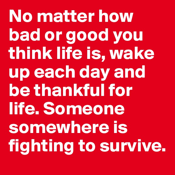 No matter how bad or good you think life is, wake up each day and be thankful for life. Someone somewhere is fighting to survive.
