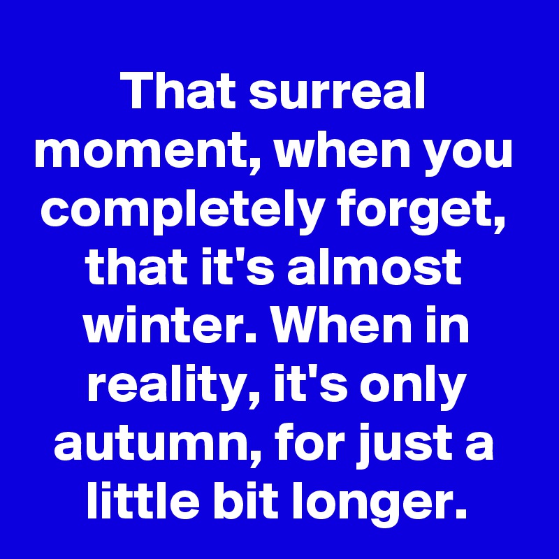 That surreal moment, when you completely forget, that it's almost winter. When in reality, it's only autumn, for just a little bit longer.