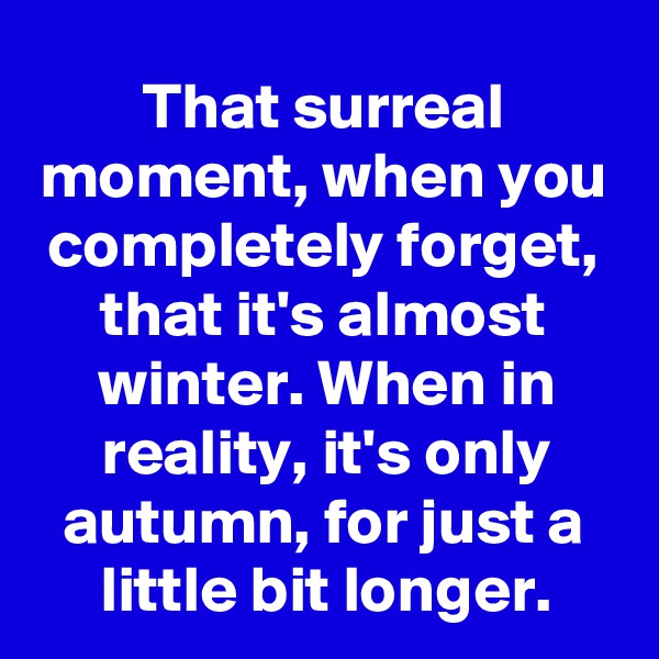 That surreal moment, when you completely forget, that it's almost winter. When in reality, it's only autumn, for just a little bit longer.