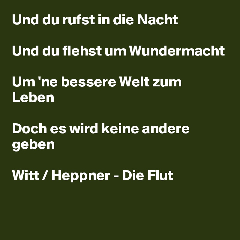 Und du rufst in die Nacht

Und du flehst um Wundermacht

Um 'ne bessere Welt zum Leben

Doch es wird keine andere geben

Witt / Heppner - Die Flut

