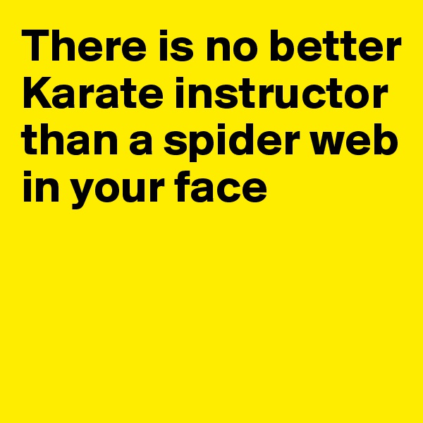 There is no better
Karate instructor
than a spider web
in your face



