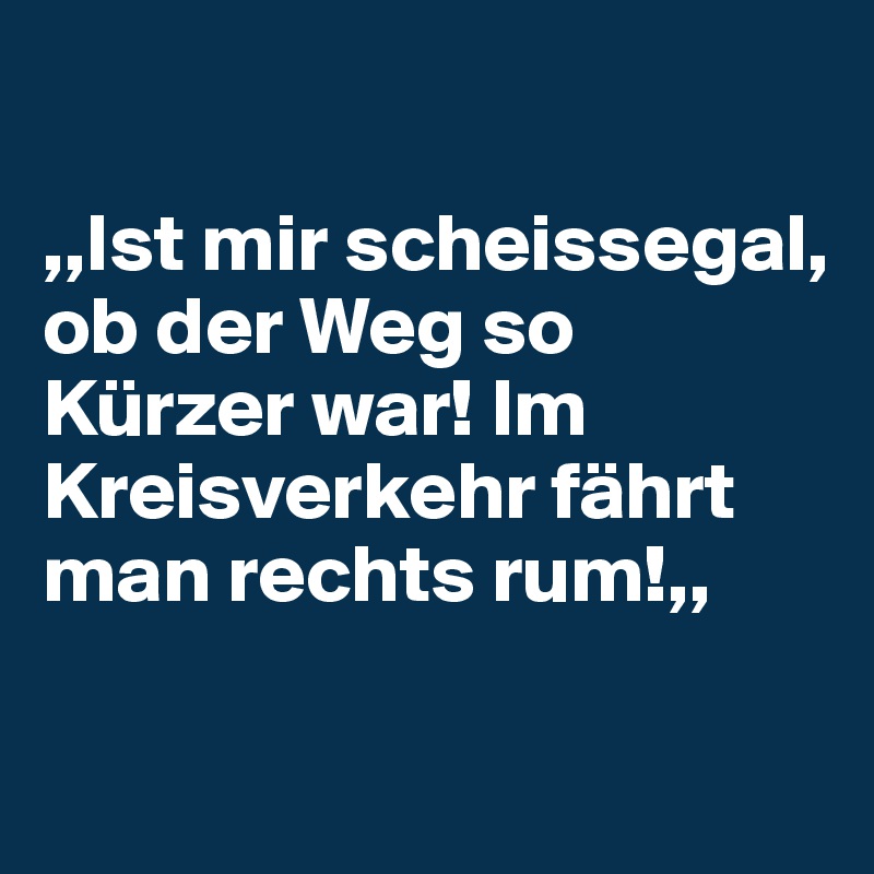 

,,Ist mir scheissegal, ob der Weg so Kürzer war! Im Kreisverkehr fährt man rechts rum!,,

