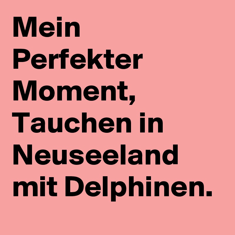 Mein Perfekter Moment, Tauchen in Neuseeland mit Delphinen.