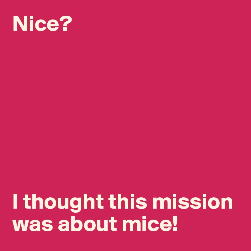 Nice?







I thought this mission was about mice!