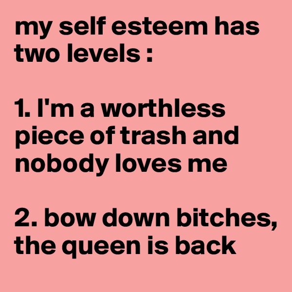 my self esteem has two levels :

1. I'm a worthless piece of trash and nobody loves me 

2. bow down bitches, the queen is back 