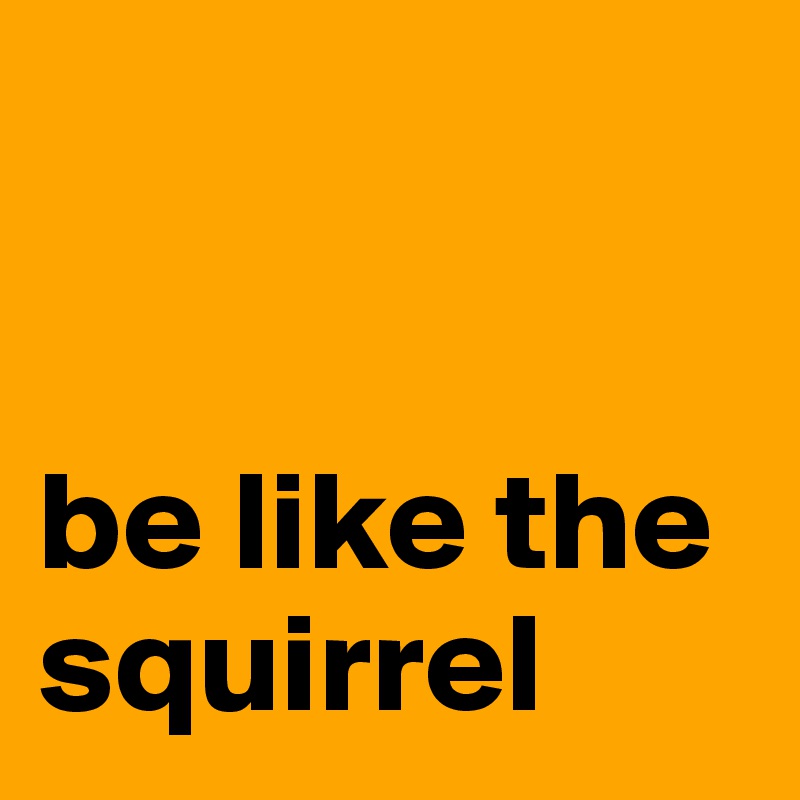 


be like the squirrel