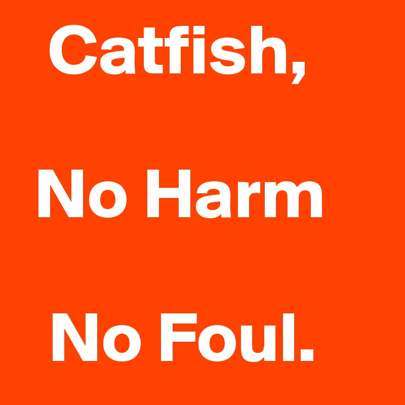   Catfish,

 No Harm

  No Foul.