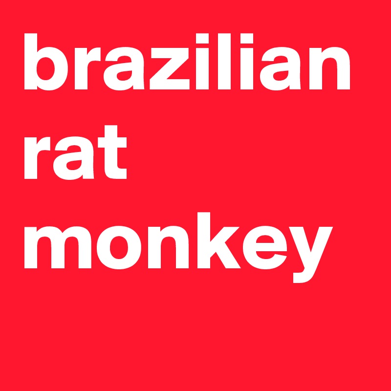 brazilian rat monkey