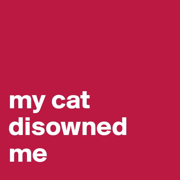 


my cat disowned me
