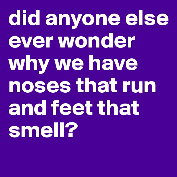 did anyone else ever wonder why we have noses that run and feet that smell?
