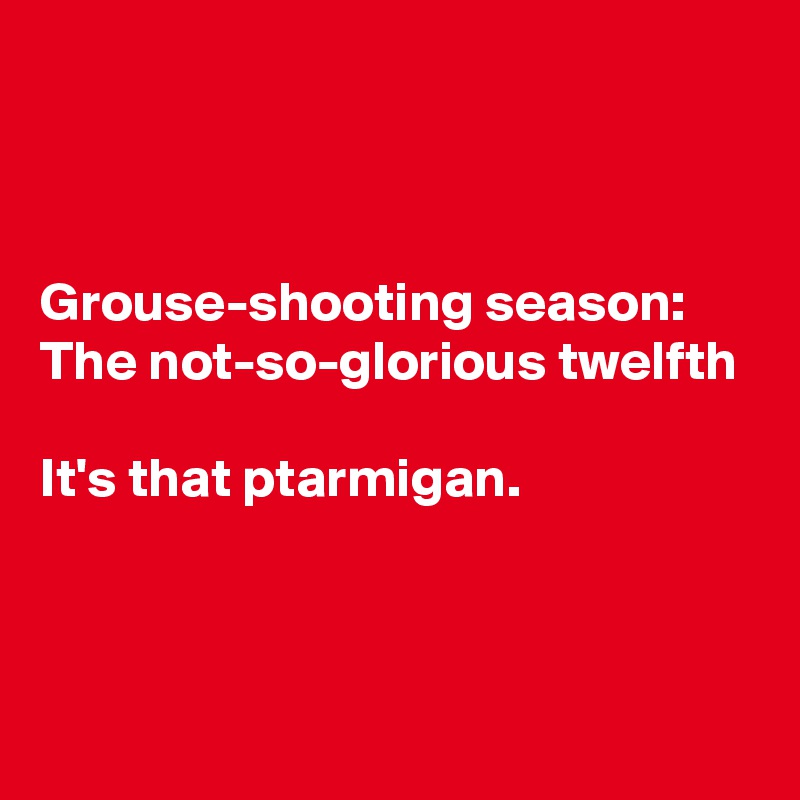 



Grouse-shooting season:
The not-so-glorious twelfth

It's that ptarmigan.




