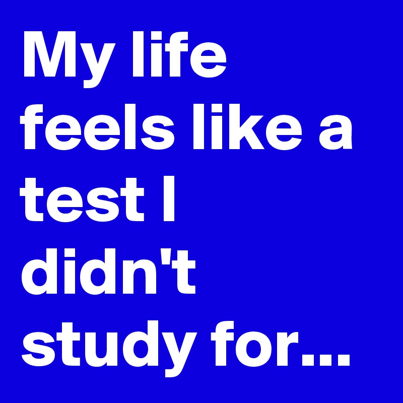 my-life-feels-like-a-test-i-didn-t-study-for-post-by-sledge-on