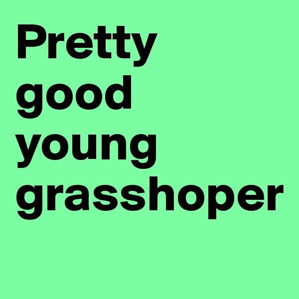 Pretty good young grasshoper
