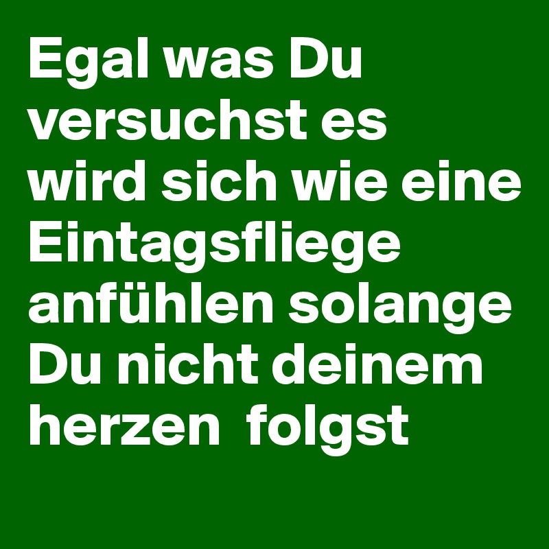 Egal was Du versuchst es wird sich wie eine Eintagsfliege anfühlen solange Du nicht deinem herzen  folgst