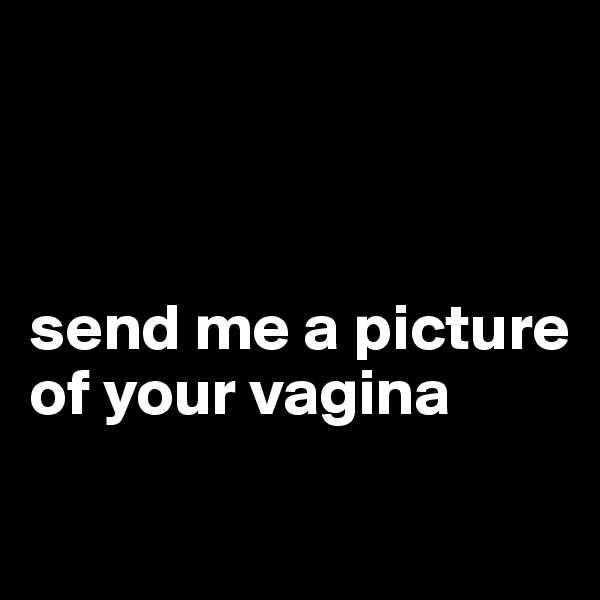



send me a picture of your vagina

