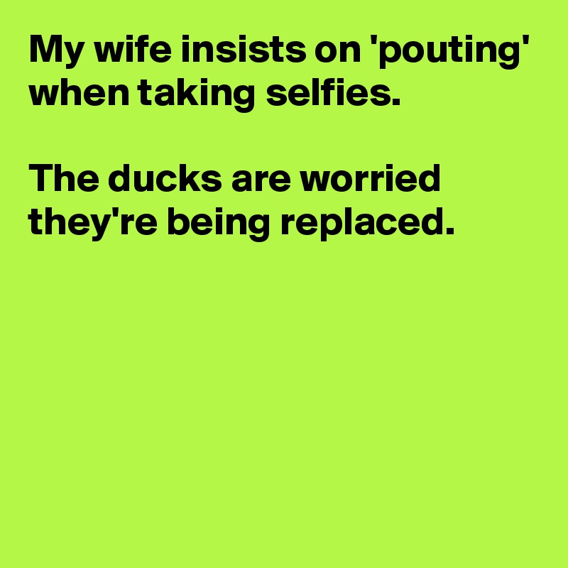 My wife insists on 'pouting' when taking selfies.

The ducks are worried they're being replaced.





