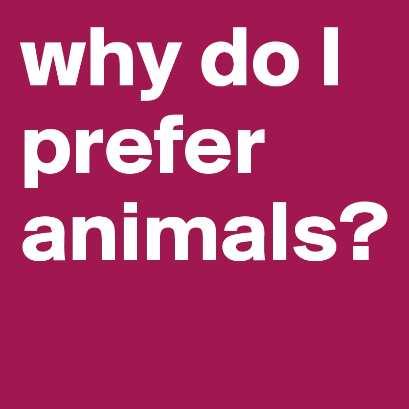 why do I prefer animals?

