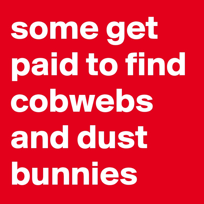 some get paid to find cobwebs and dust bunnies