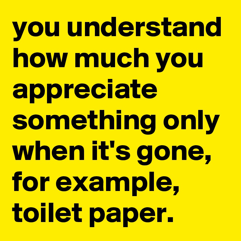 you understand how much you appreciate something only when it's gone,
for example, toilet paper.