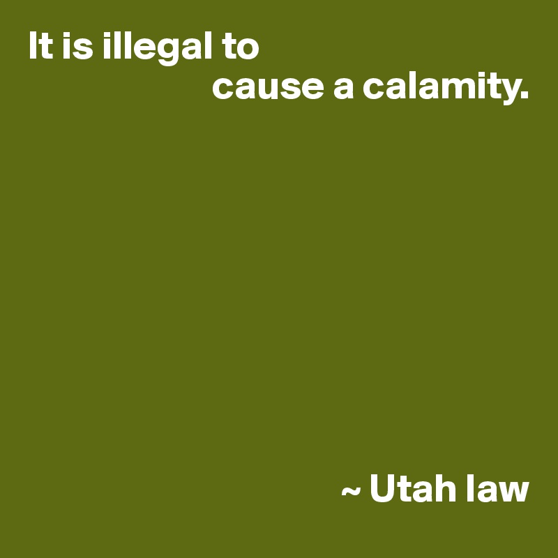 It is illegal to 
                       cause a calamity.









                                       ~ Utah law
