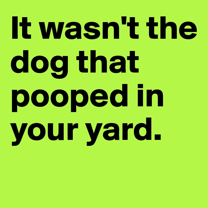 It wasn't the dog that pooped in your yard.
