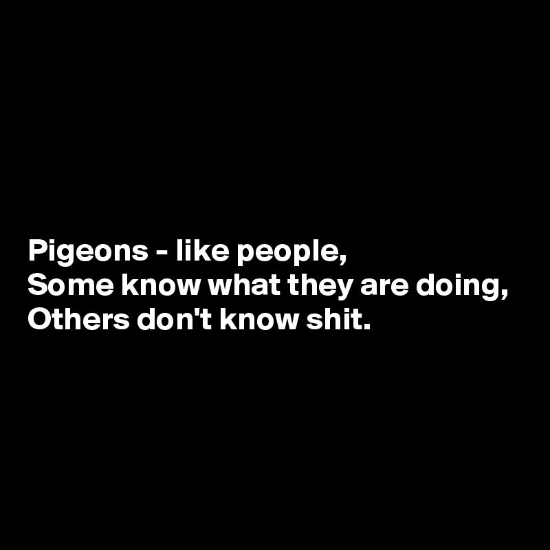 





Pigeons - like people,
Some know what they are doing,
Others don't know shit.




