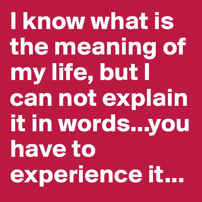 I Know What Is The Meaning Of My Life But I Can Not Explain It In Words You Have To Experience It Post By Mjau On Boldomatic