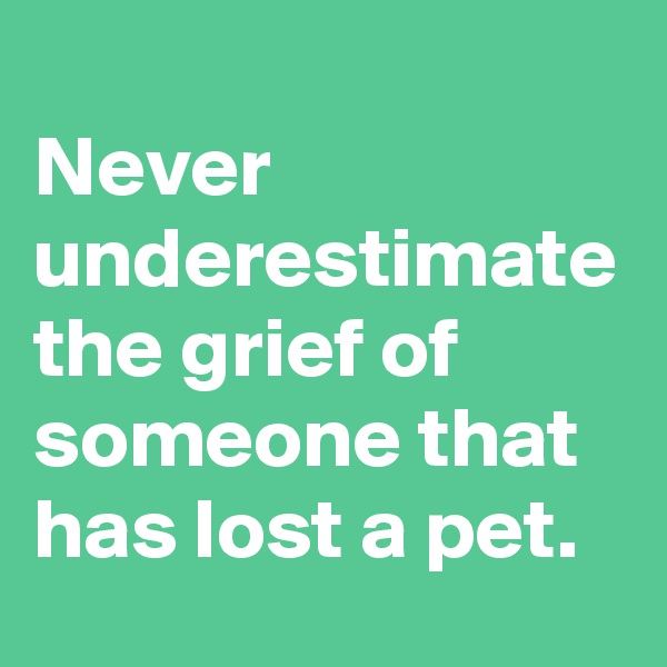 
Never underestimate the grief of someone that has lost a pet.