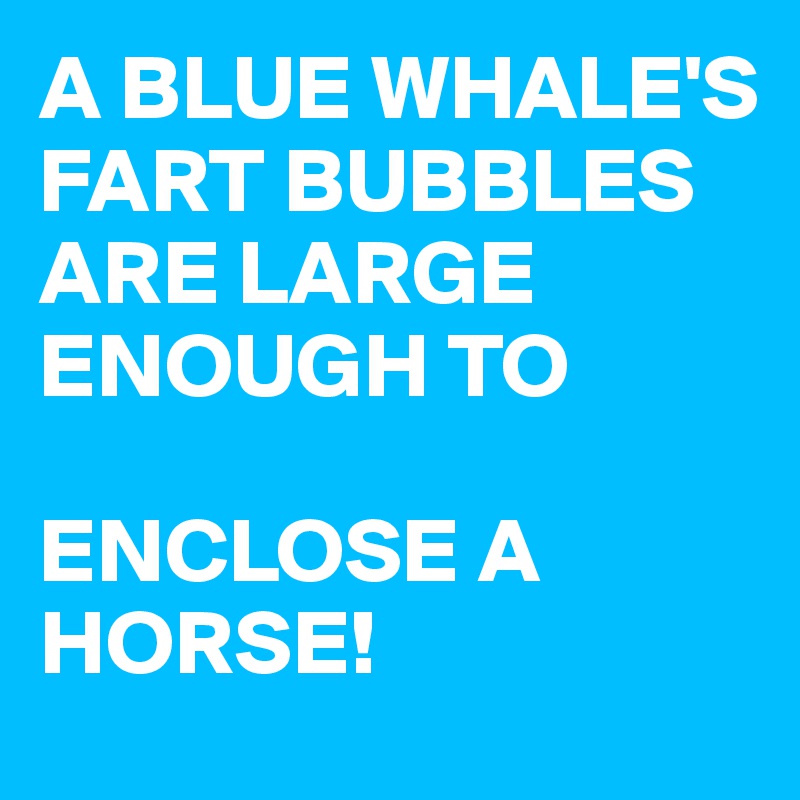 A BLUE WHALE'S FART BUBBLES ARE LARGE ENOUGH TO 

ENCLOSE A HORSE!