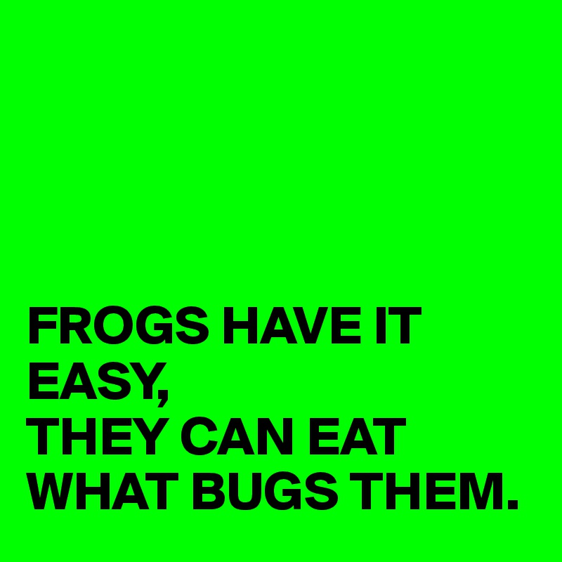 




FROGS HAVE IT EASY,
THEY CAN EAT WHAT BUGS THEM.