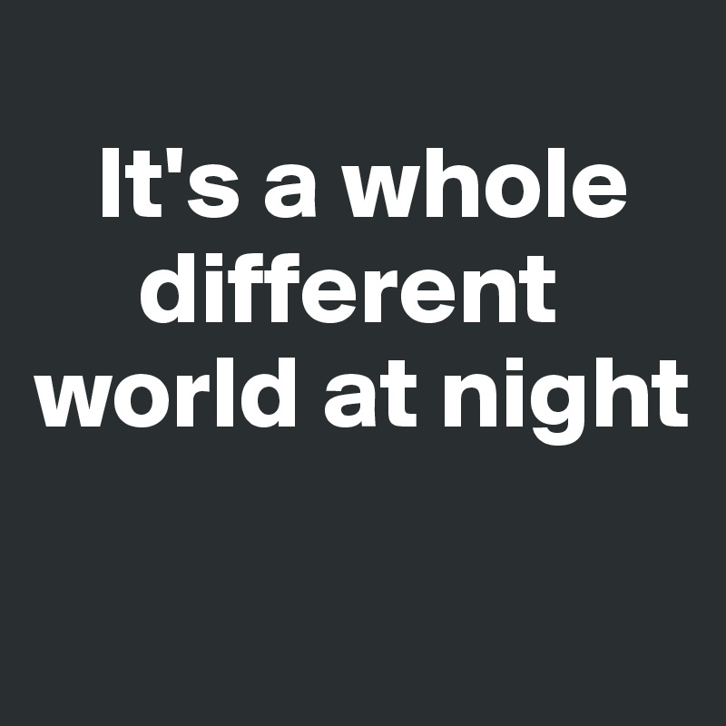 
   It's a whole     
     different world at night

