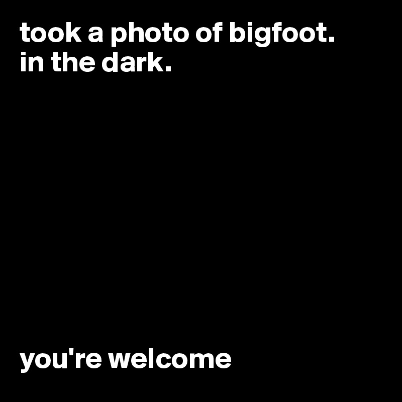 took a photo of bigfoot. 
in the dark.









you're welcome