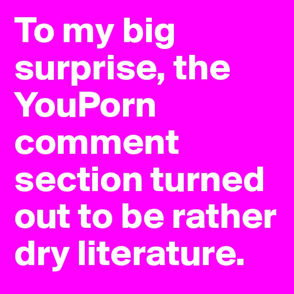 To my big surprise, the YouPorn comment section turned out to be rather dry literature.