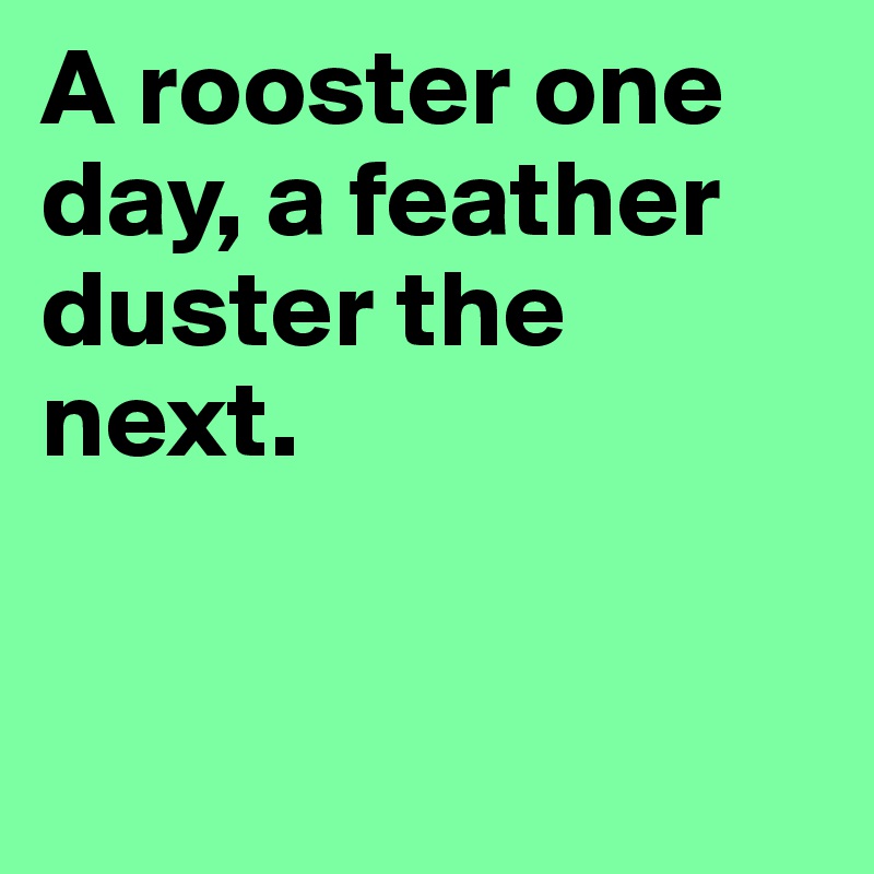 A rooster one day, a feather duster the next. 


