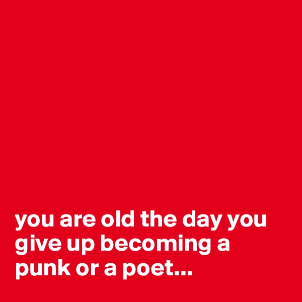 







you are old the day you give up becoming a punk or a poet...