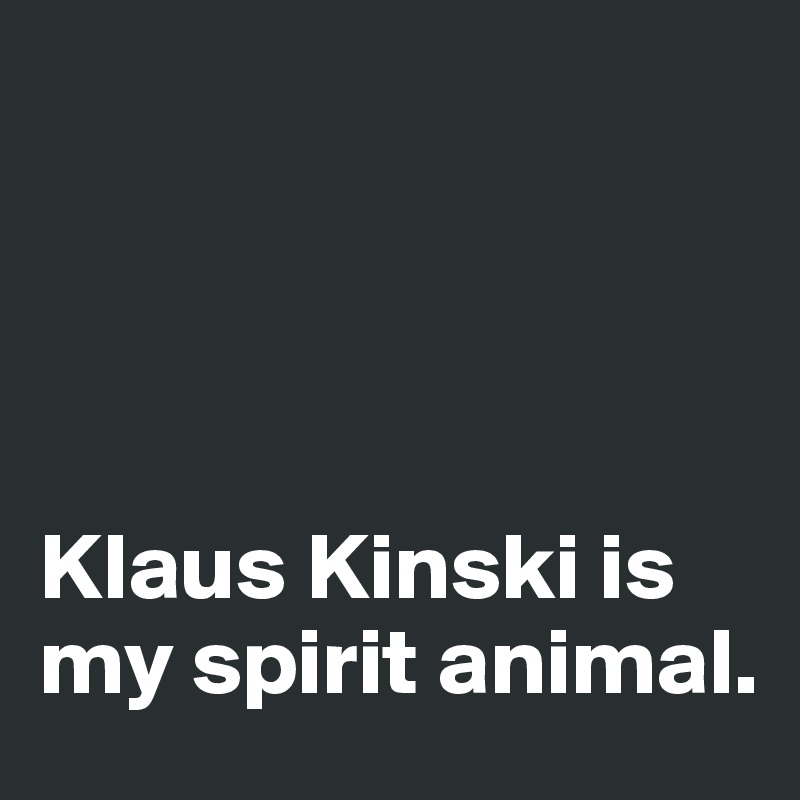 




Klaus Kinski is my spirit animal. 