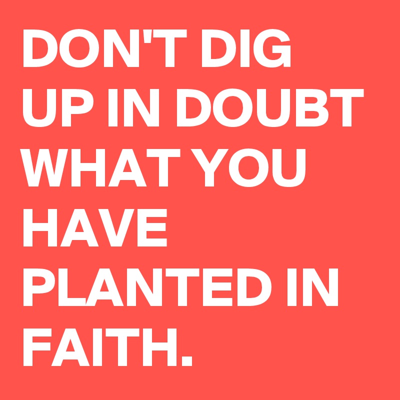 DON'T DIG UP IN DOUBT WHAT YOU HAVE PLANTED IN FAITH. 