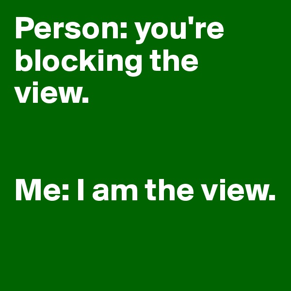 Person: you're blocking the view.


Me: I am the view.
