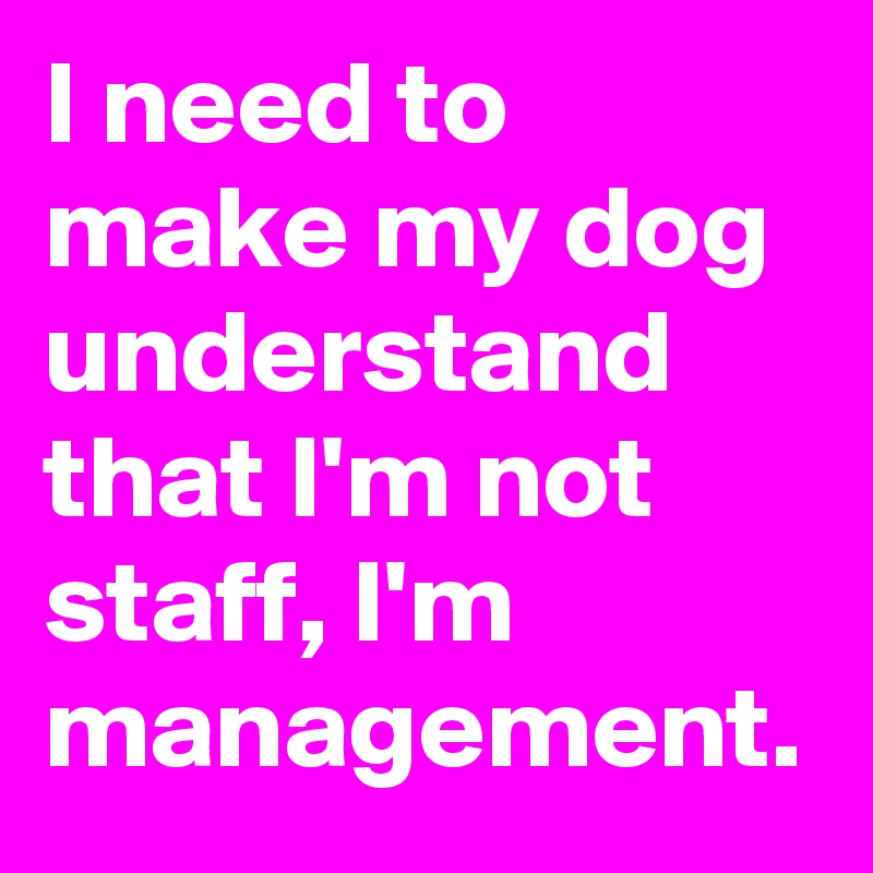 I need to make my dog understand that I'm not staff, I'm management.