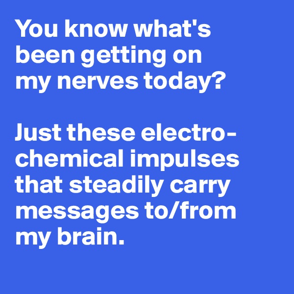 You know what's 
been getting on 
my nerves today?

Just these electro-
chemical impulses that steadily carry messages to/from 
my brain.
