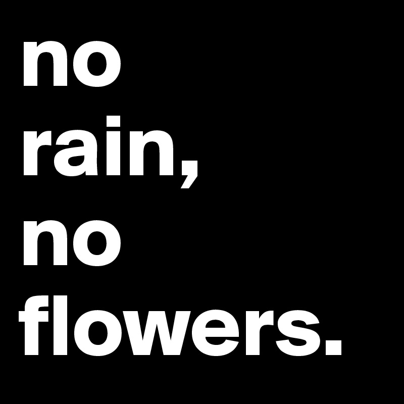 no 
rain, 
no flowers.