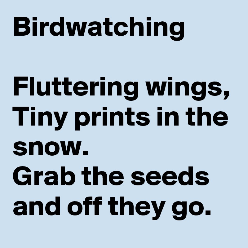 Birdwatching

Fluttering wings, 
Tiny prints in the snow.
Grab the seeds and off they go. 