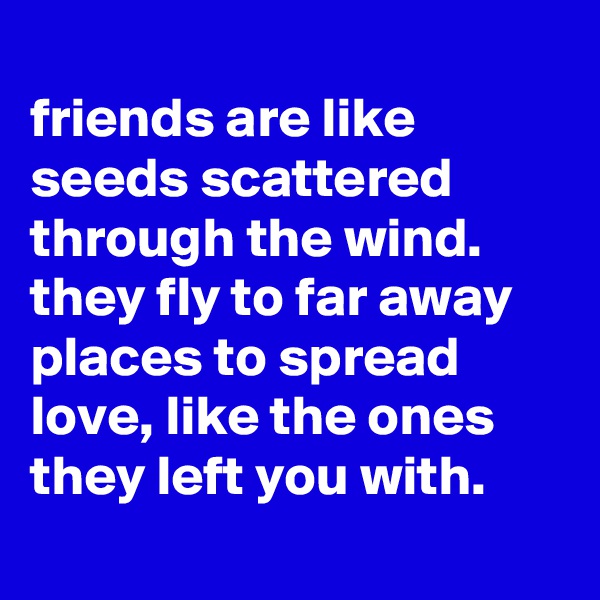 
friends are like seeds scattered through the wind. they fly to far away places to spread love, like the ones they left you with.
