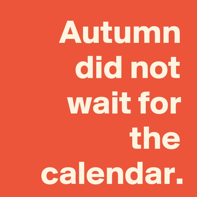Autumn did not wait for the calendar.