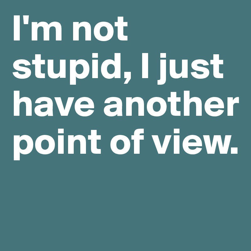 I'm not stupid, I just have another point of view. 