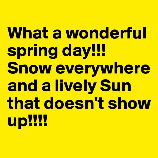 
What a wonderful spring day!!! Snow everywhere and a lively Sun that doesn't show up!!!!