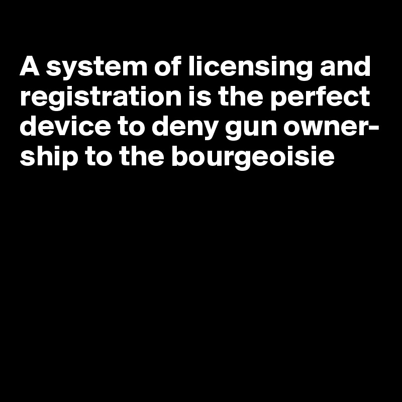 
A system of licensing and registration is the perfect device to deny gun owner-ship to the bourgeoisie





