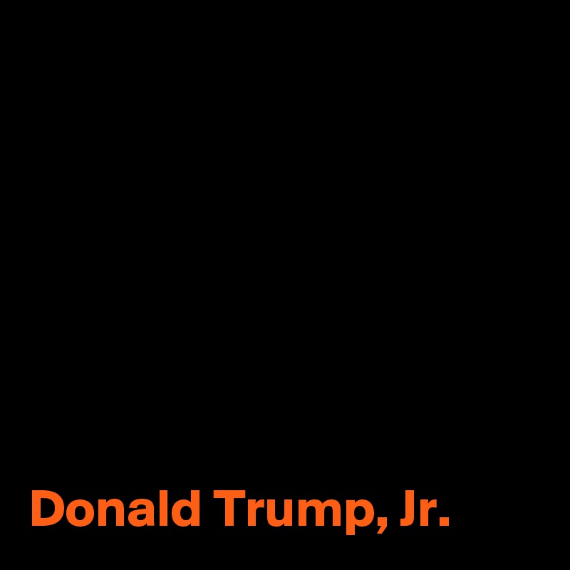 







Donald Trump, Jr.