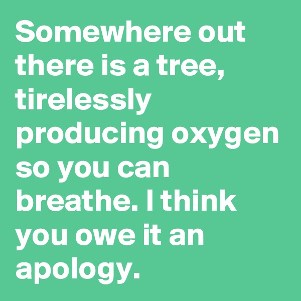 Somewhere out there is a tree, tirelessly producing oxygen so you can breathe. I think you owe it an apology. 